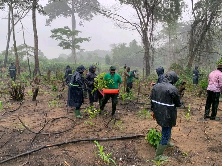 Projet Plan Vert : Aménagement de la forêt classée de Audoin (Jacqueville  N’djem) de 1000 ha.