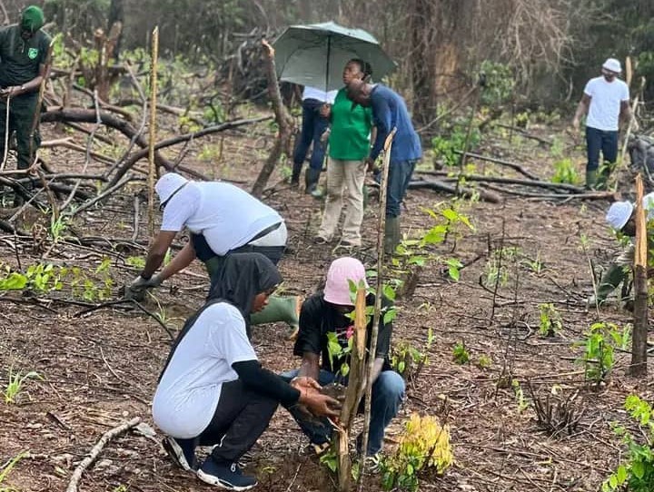 Aménagement des forêts classées